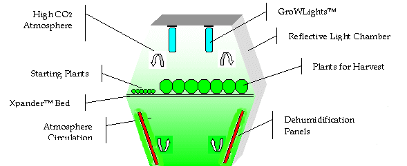 Figure 1: Individual GroW Chambers within a GroWarium