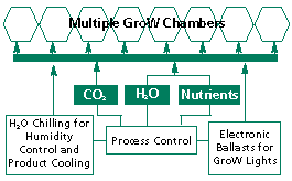 Figure 3: GroWarium System Overview